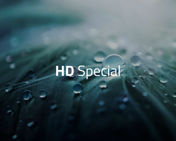 Nahaufnahme von einem Blatt mit Wassertropfen drauf und dem Schriftzug "HD Special"