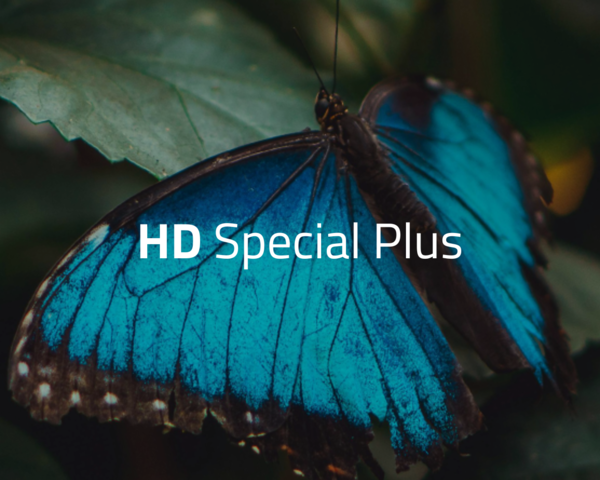 Nahaufnahme von einem Schmetterling im Hintergrund mit dem Schriftzug " HD Special PLus"